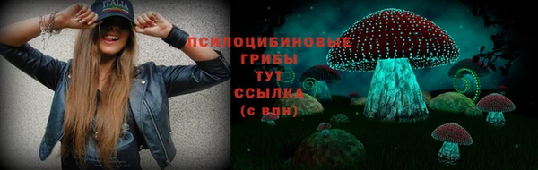 дживик Липки