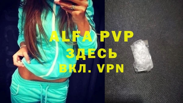 дживик Липки