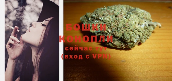 дживик Липки