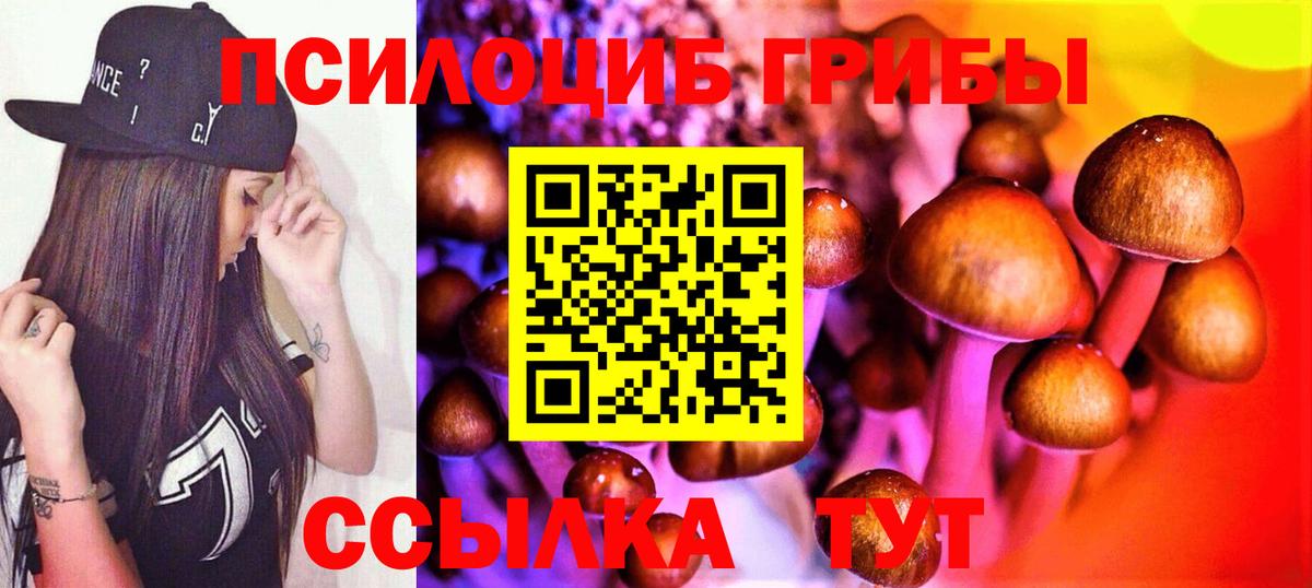 Кызыл  Галлюциногенные грибы ЛСД  Вход с VPN 